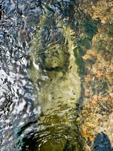 Jason-deCaires-Taylor-Underwater-Sculpture-Alluvia00002