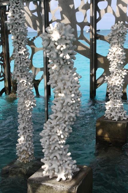 Coralarium,  Maldives