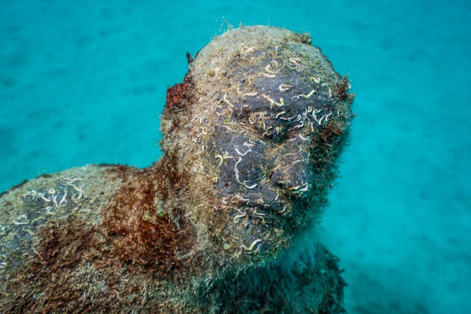 Museo Atlantico_Lanzarote_Hybrid Forest_growth_04438_Jason deCaires Taylor_Sculpture