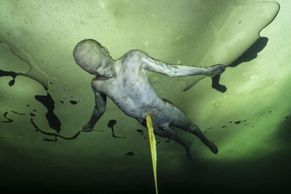 Nexus Tethered to Nature Jason deCaires Taylor