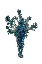Blue Coral Figure 125